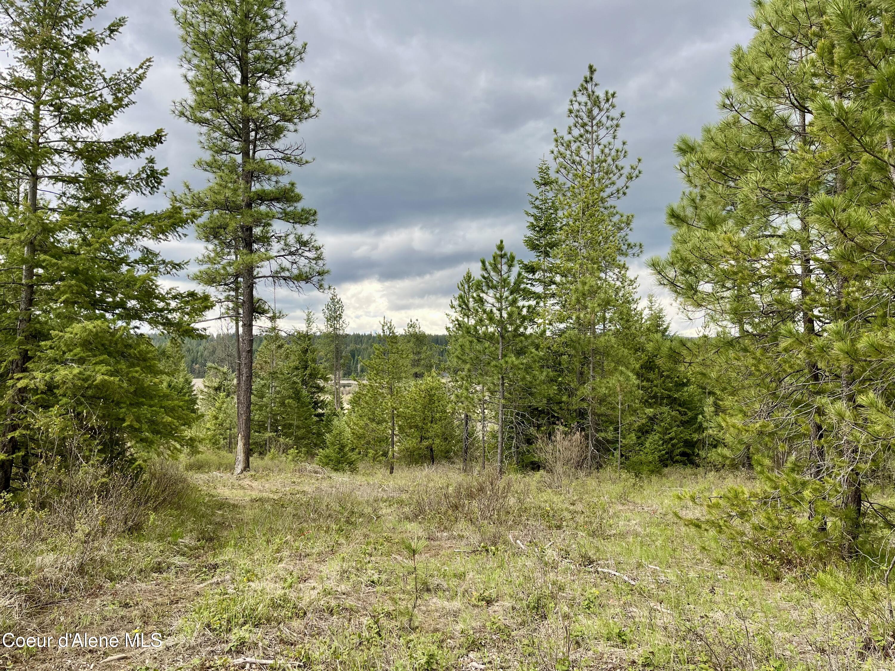 12ac Elizabeth Ln, Athol, Idaho image 1