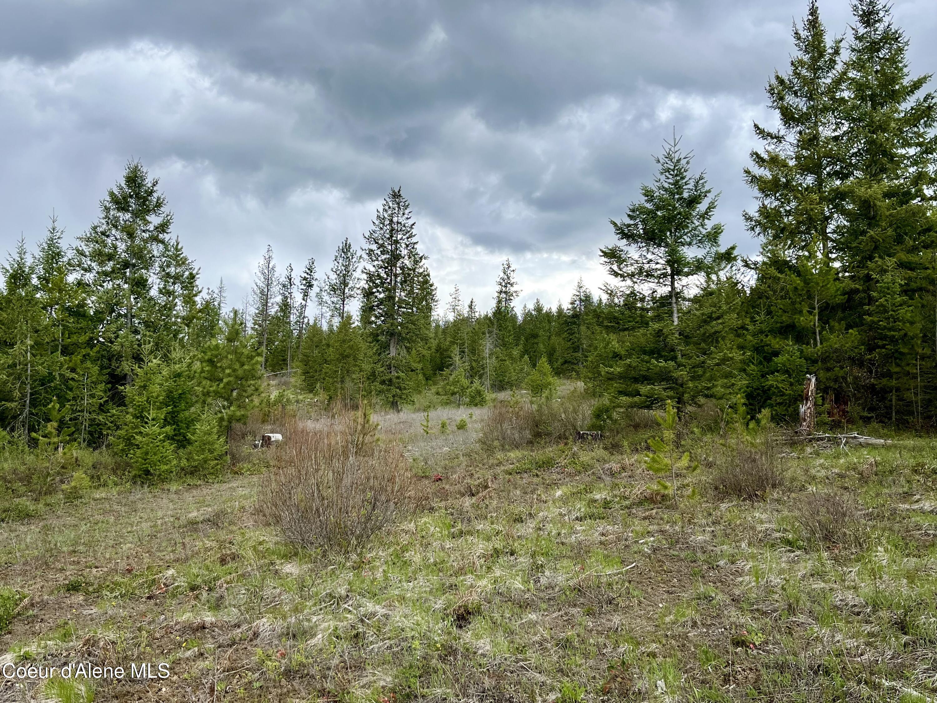 12ac Elizabeth Ln, Athol, Idaho image 4