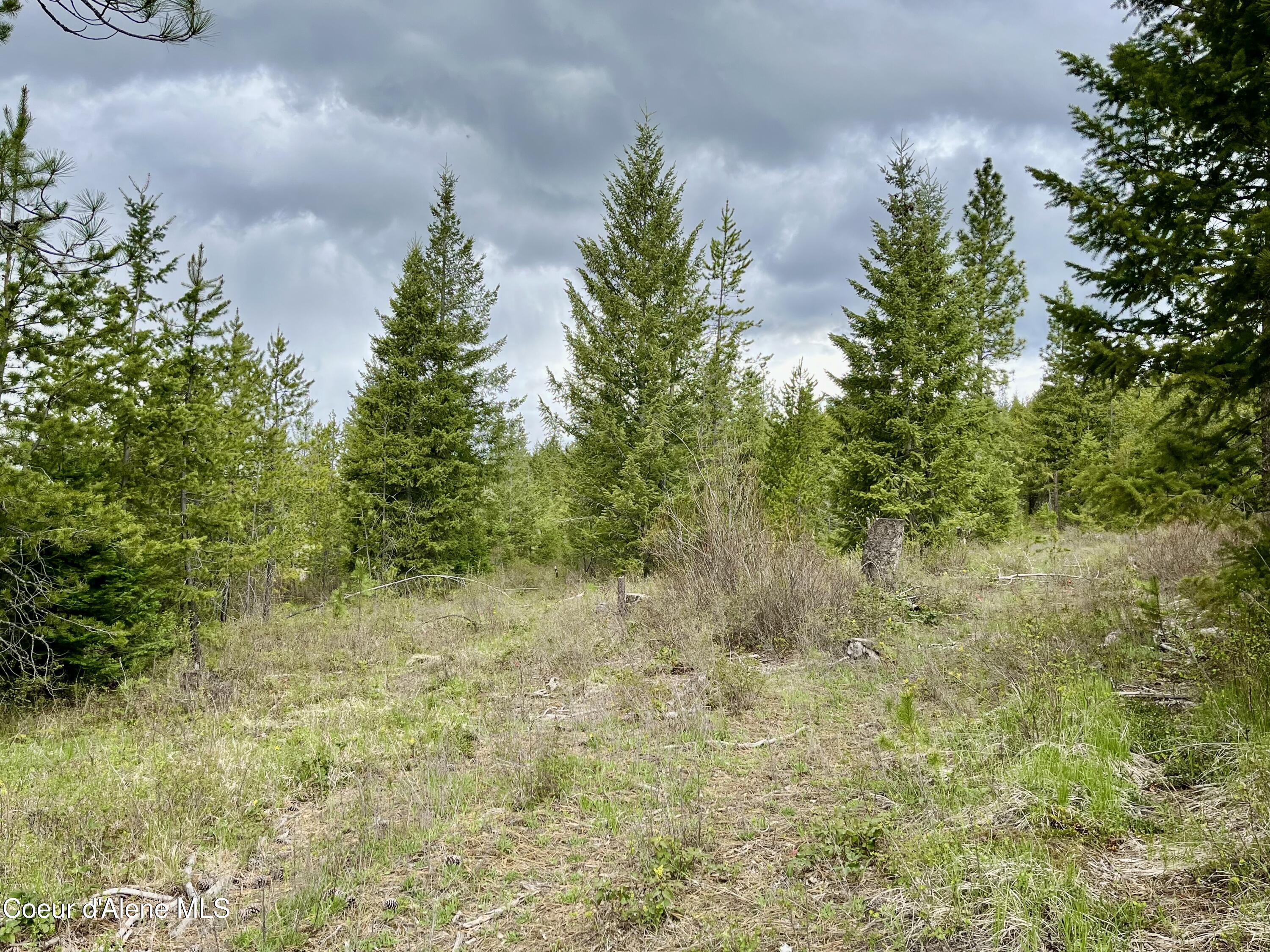 12ac Elizabeth Ln, Athol, Idaho image 3