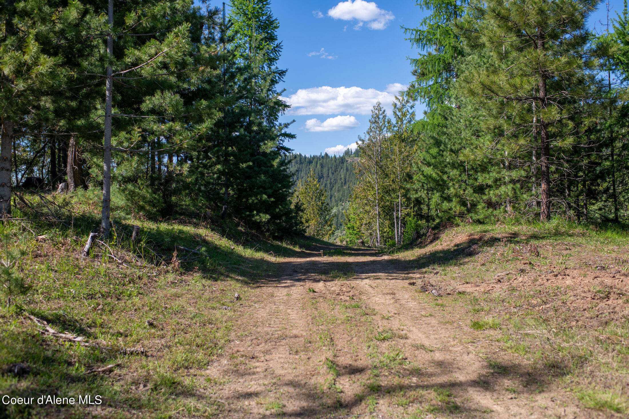 NNA Frosty Lane Lot H Road, Pinehurst, Texas image 16