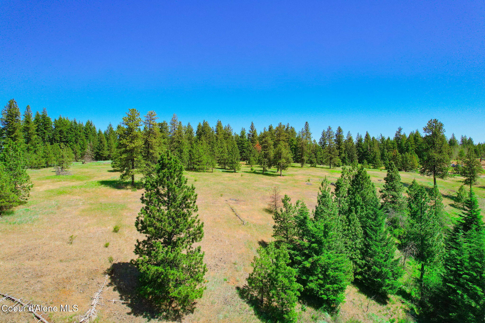 Lot 1 S Skyview Rd, Harrison, Idaho image 6