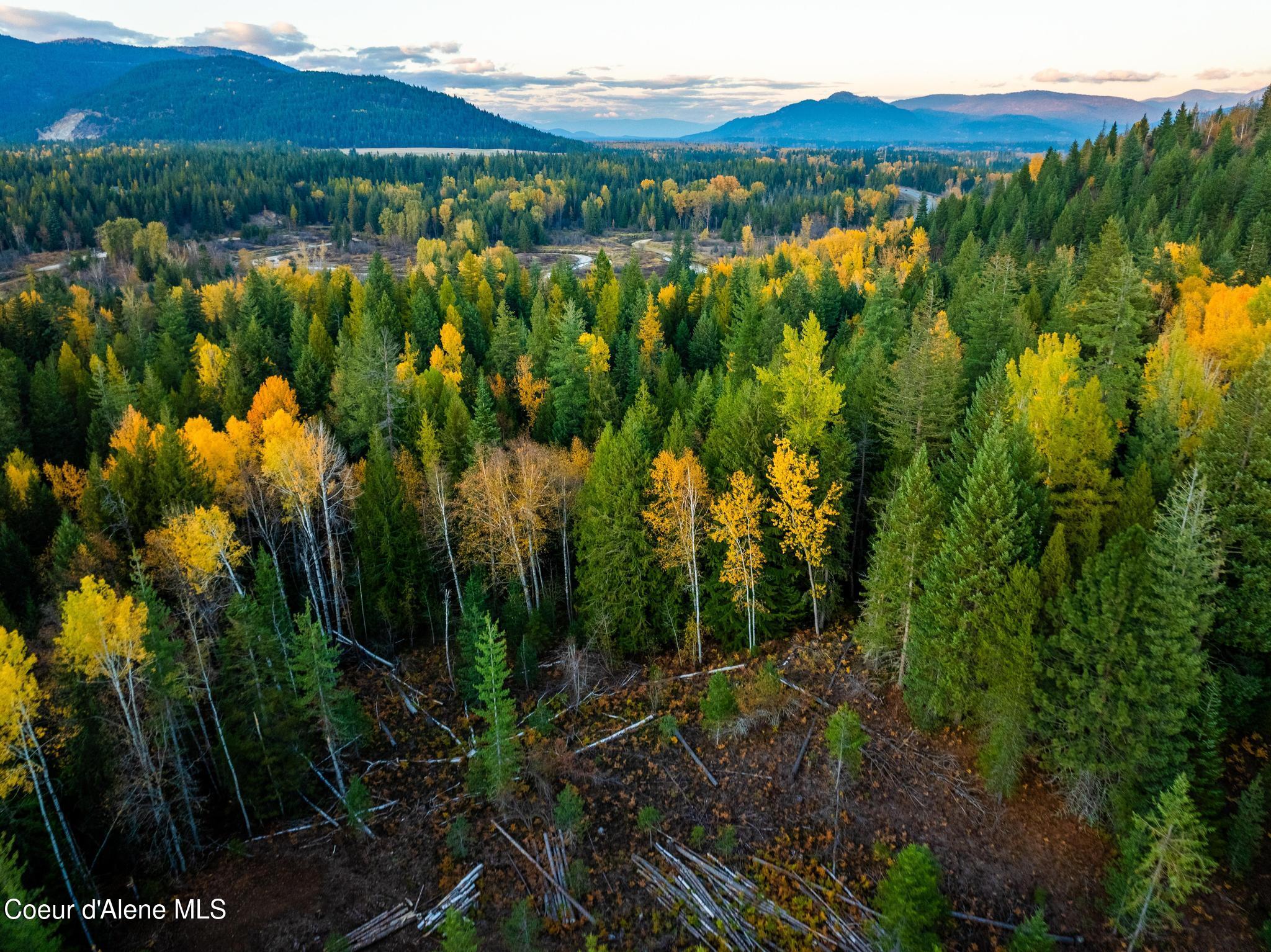 NKA Highway 95, Sandpoint, Idaho image 9