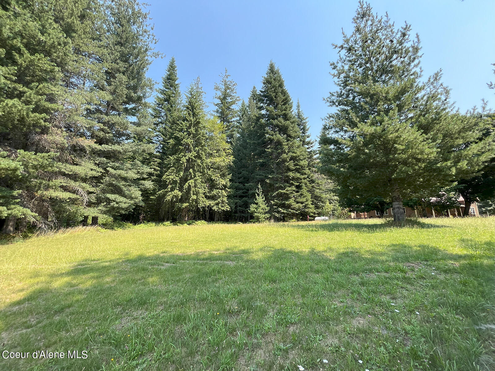 172 Kestrel Ln, Clark Fork, Idaho image 33