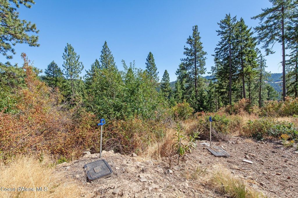 Photo of NNA Hanson, Harrison, ID 83833 (MLS # 26-4094)