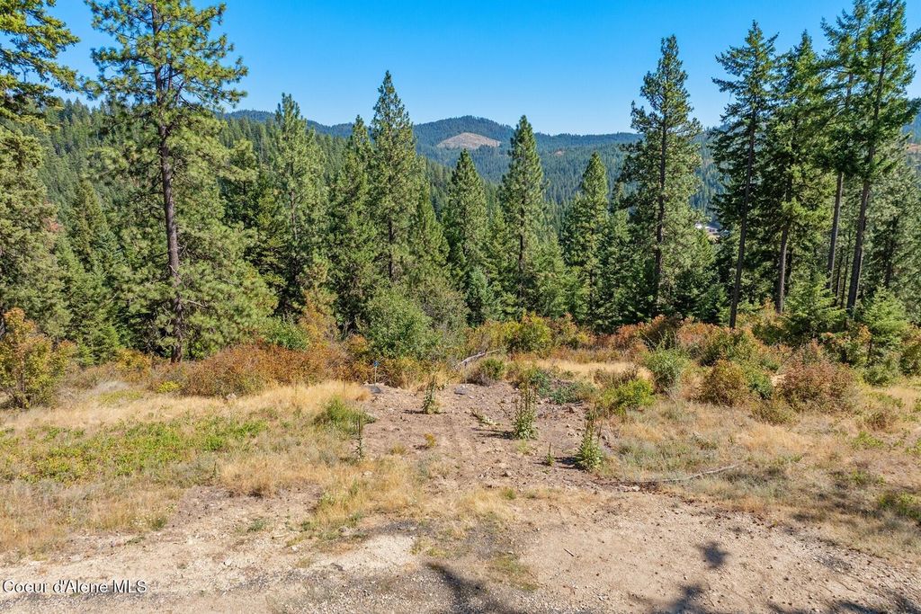 Photo of NNA Hanson, Harrison, ID 83833 (MLS # 26-4094)