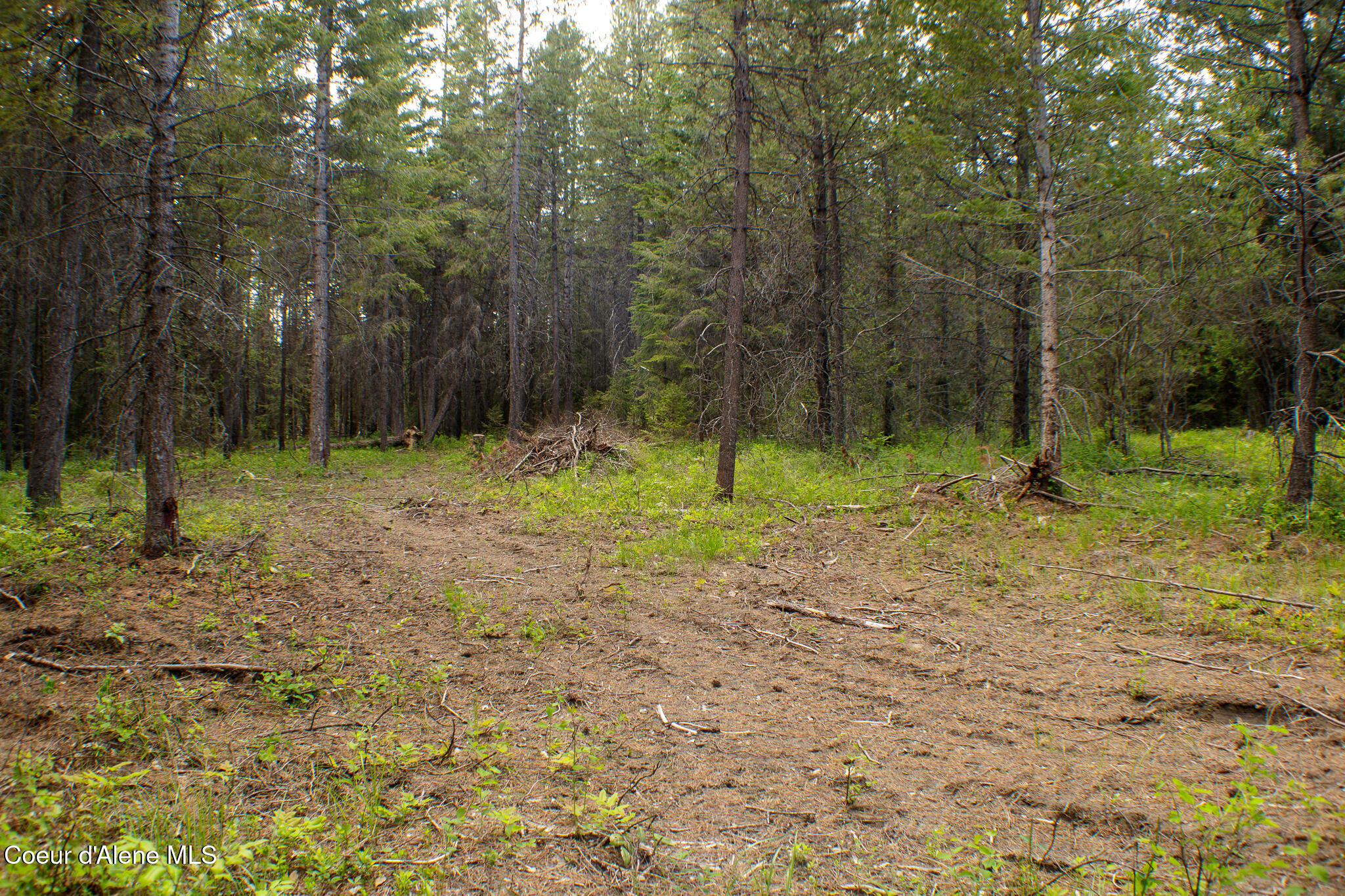1104 Dry Creek Rd, Oldtown, Alaska image 24