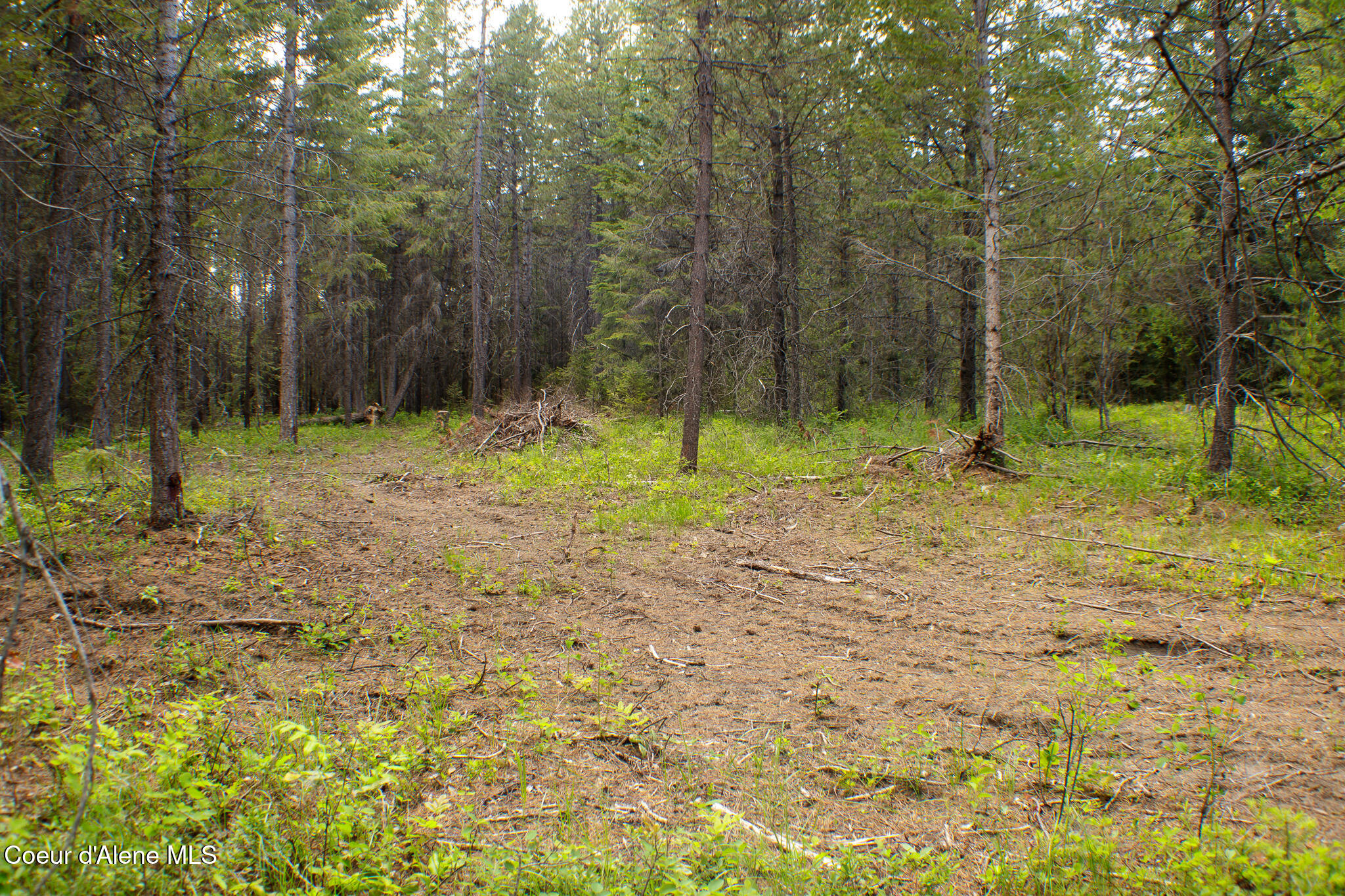1104 Dry Creek Rd, Oldtown, Alaska image 25