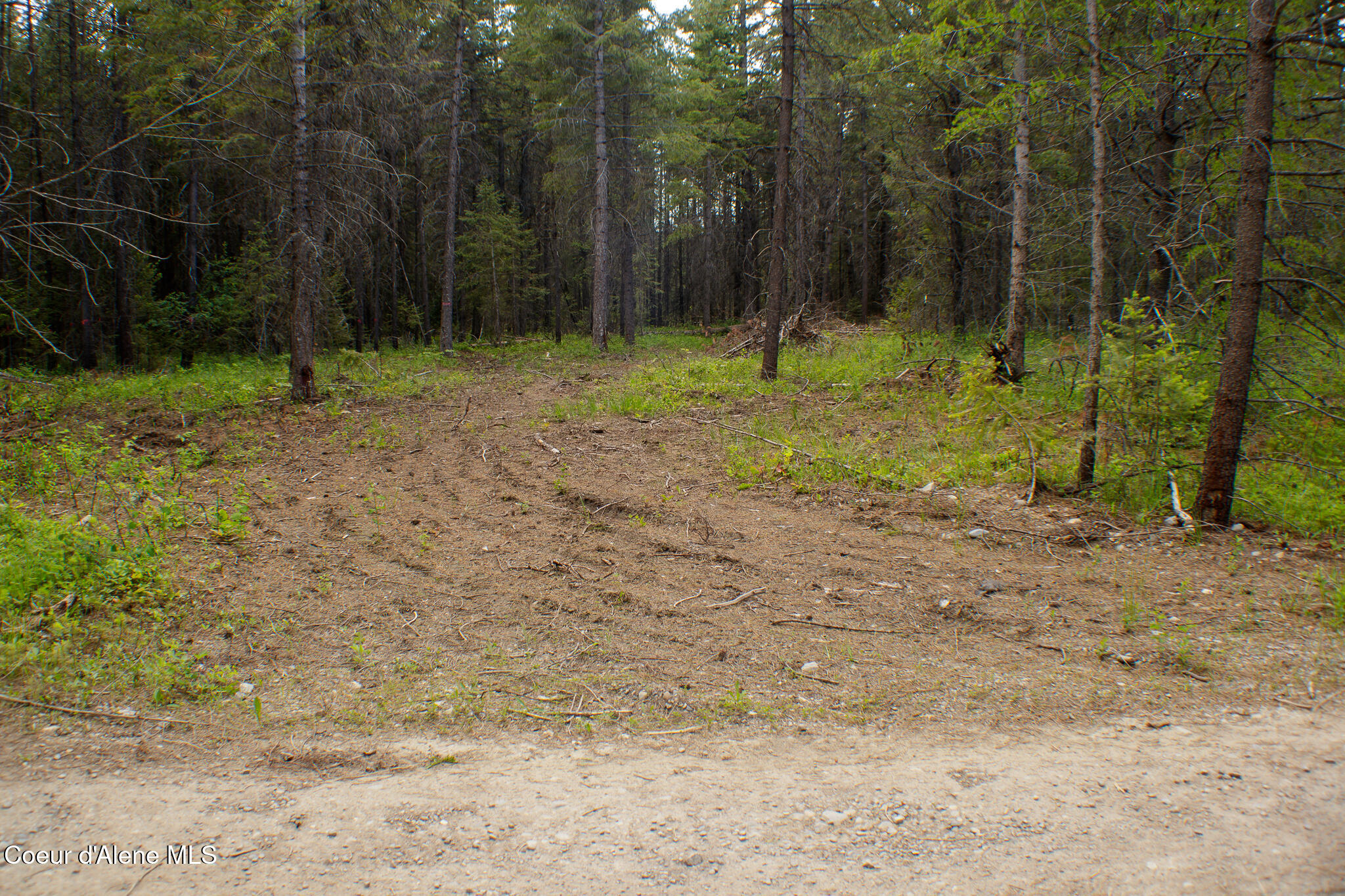 1104 Dry Creek Rd, Oldtown, Alaska image 26