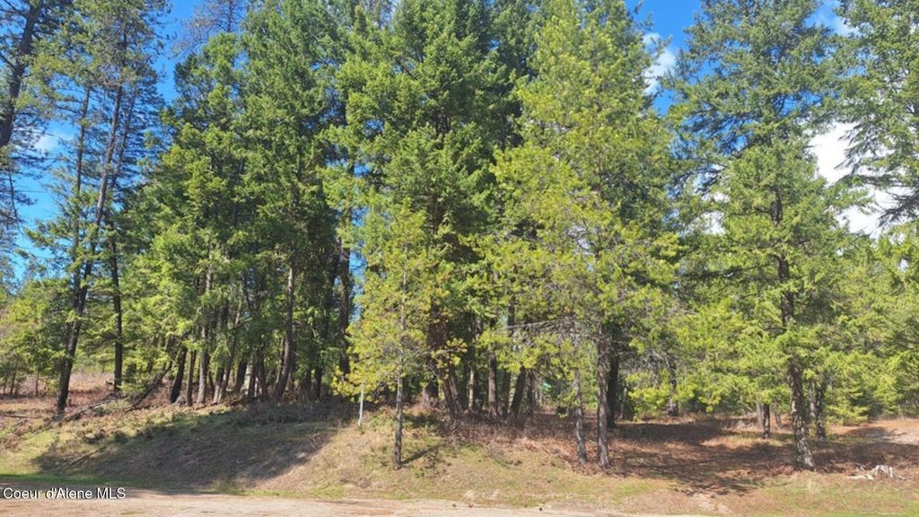 Photo of NNA Parkland, Blanchard, ID 83804 (MLS # 26-4292)