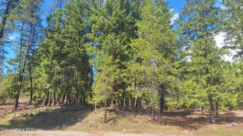Vacant Land For Sale - NNA Parkland<br/> Blanchard, ID 83804