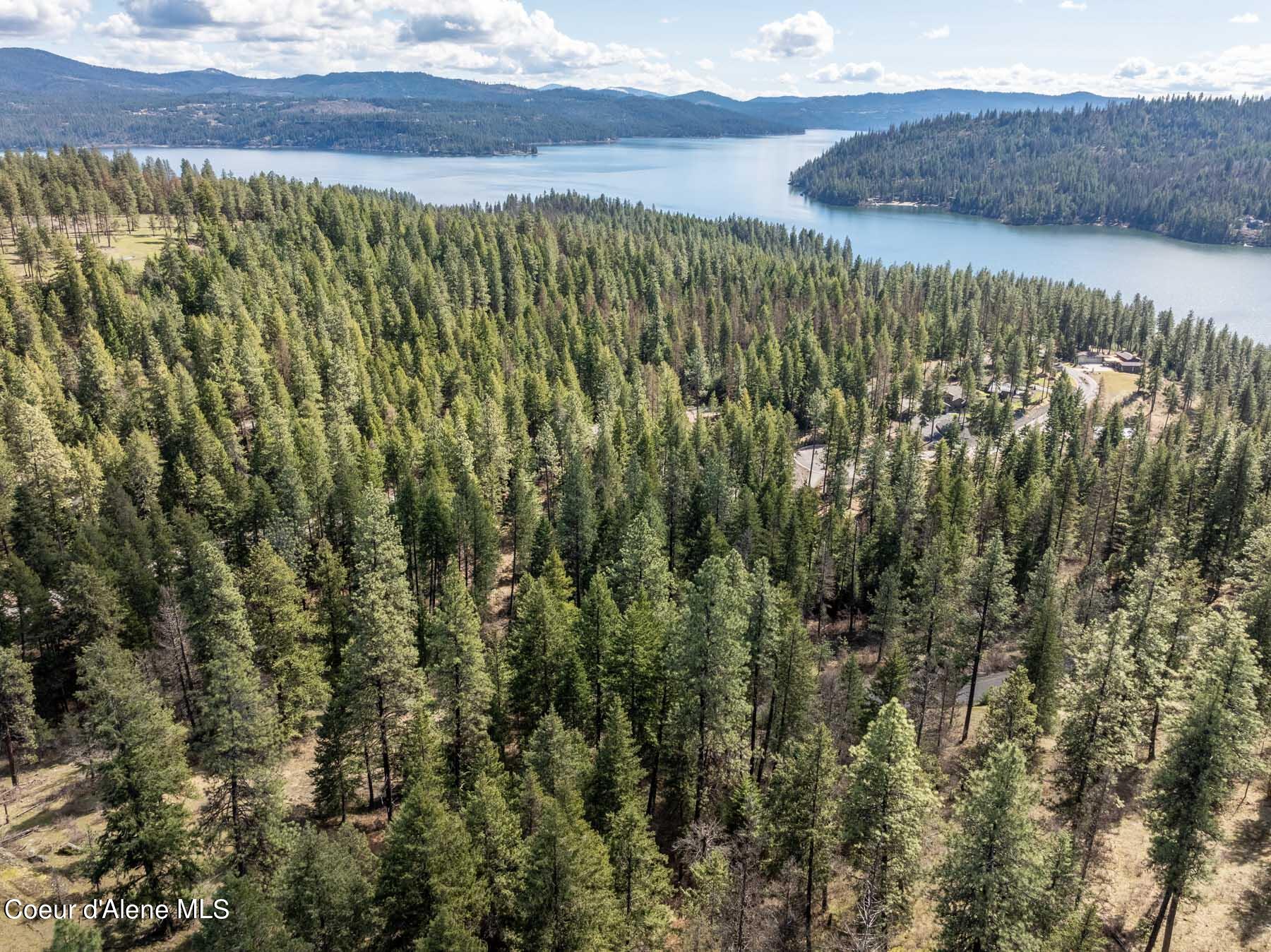 NNA S Doubletree Lane, Coeur d'Alene, Texas image 18