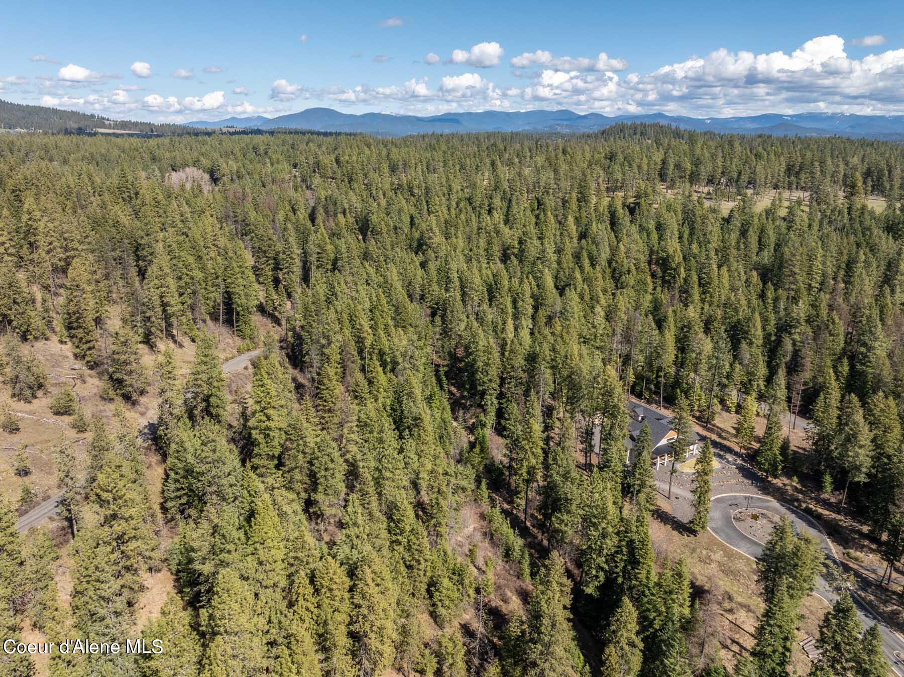NNA S Doubletree Lane, Coeur d'Alene, Texas image 15