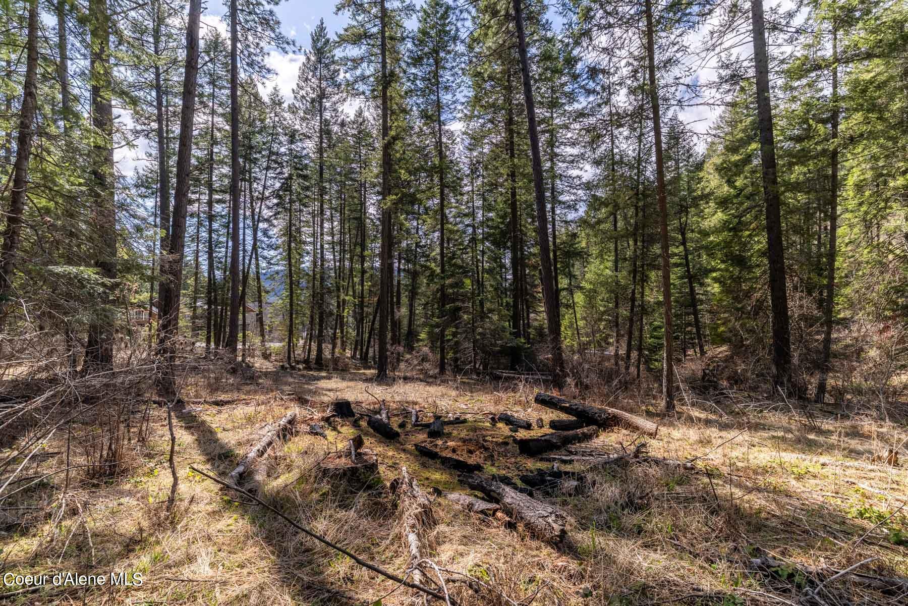 NNA S Doubletree Lane, Coeur d'Alene, Texas image 28