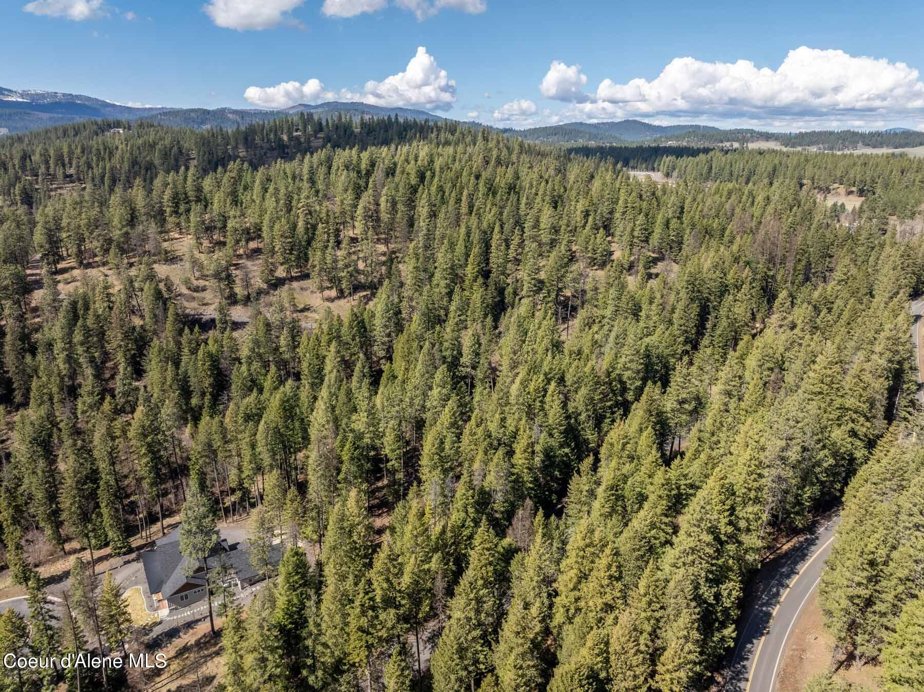 NNA S Doubletree Lane, Coeur d'Alene, Texas image 13