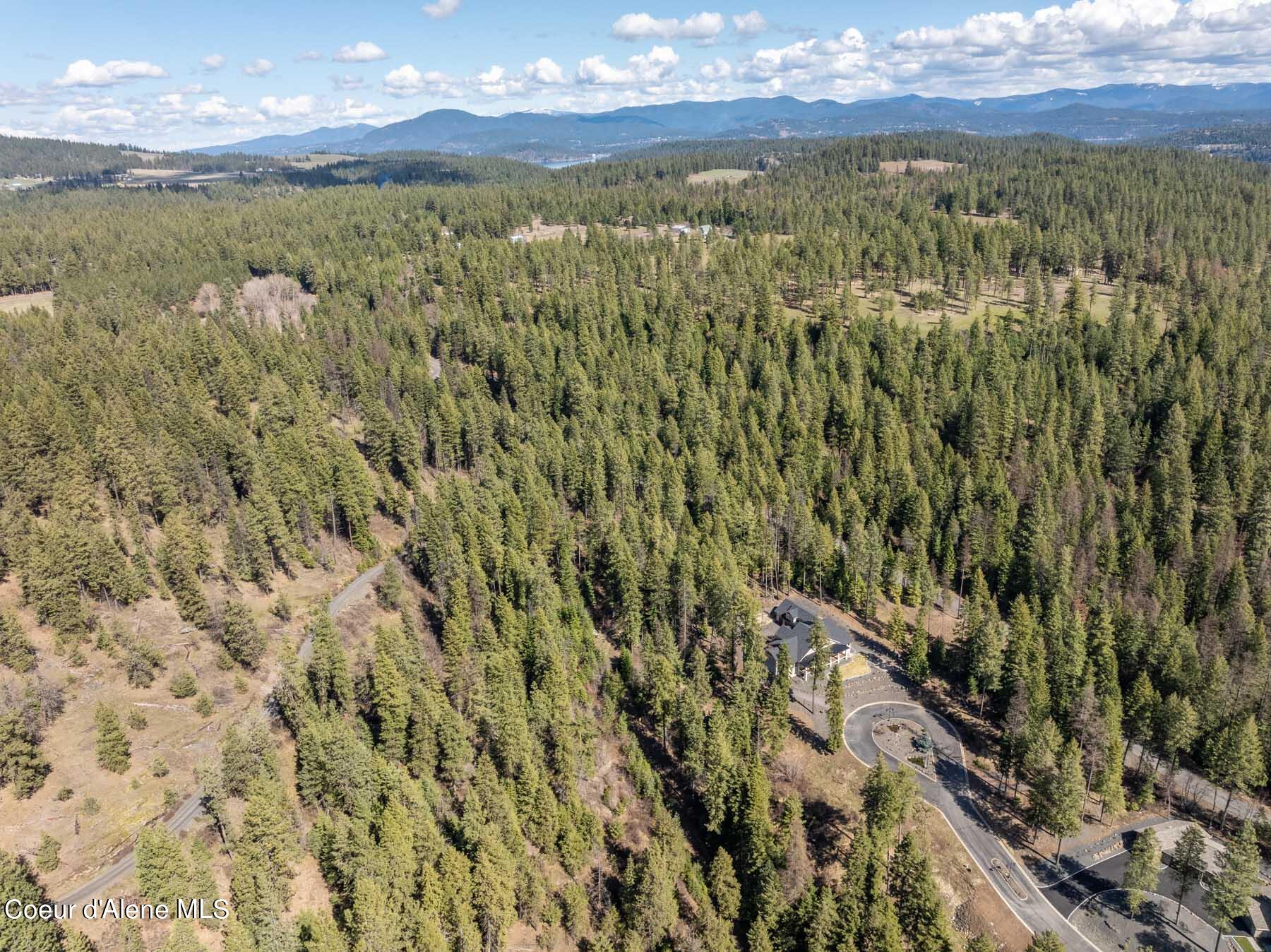 NNA S Doubletree Lane, Coeur d'Alene, Texas image 24