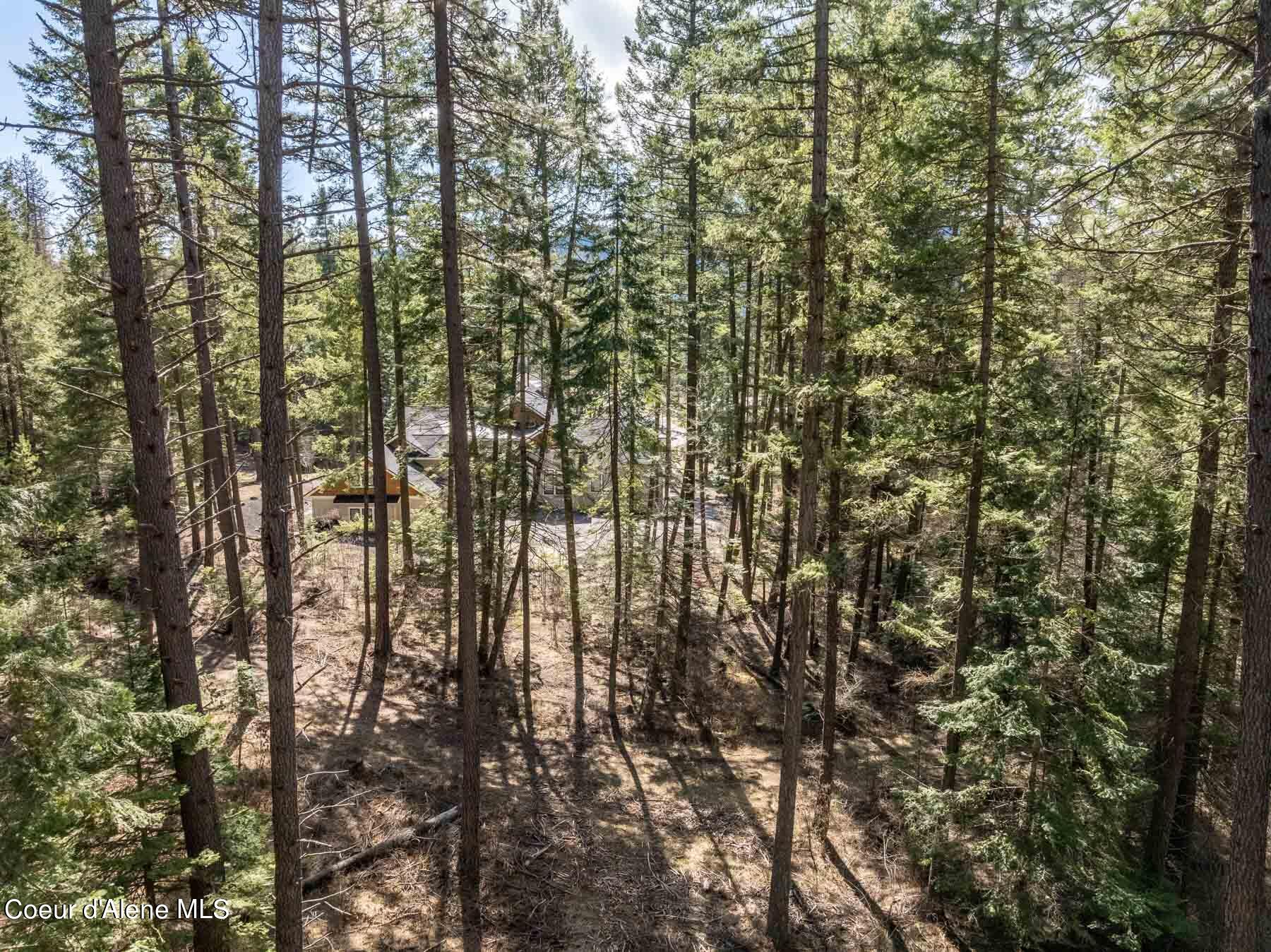 NNA S Doubletree Lane, Coeur d'Alene, Texas image 8