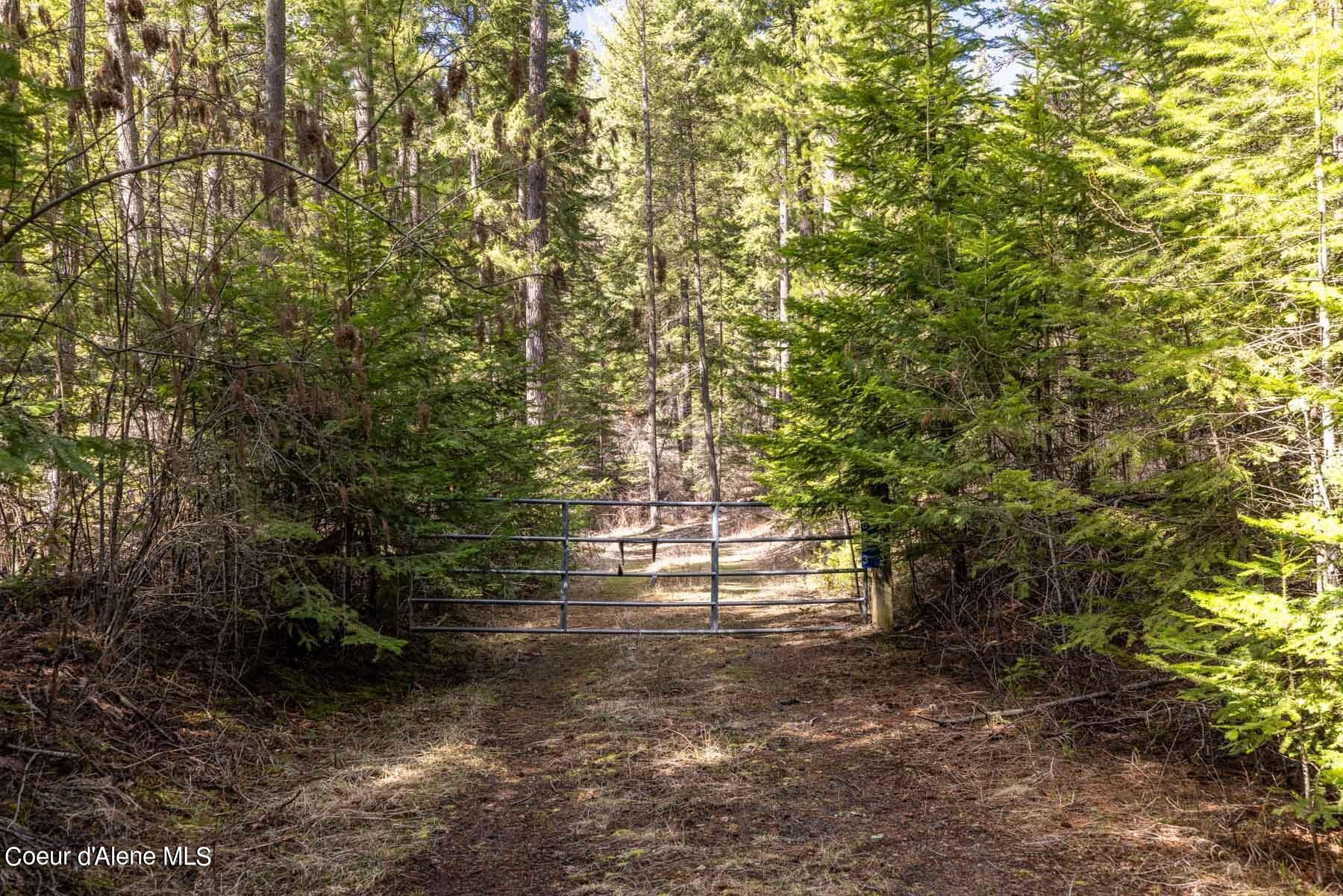 NNA S Doubletree Lane, Coeur d'Alene, Texas image 4
