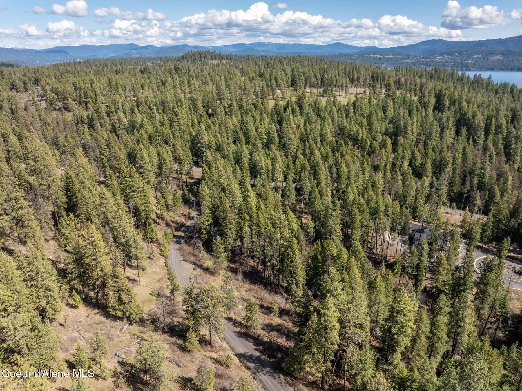NNA S Doubletree Lane, Coeur d'Alene, Texas image 16