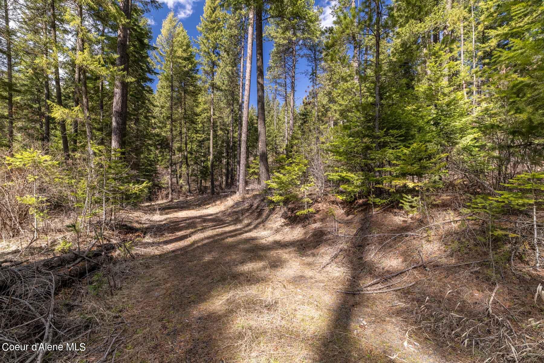 NNA S Doubletree Lane, Coeur d'Alene, Texas image 5