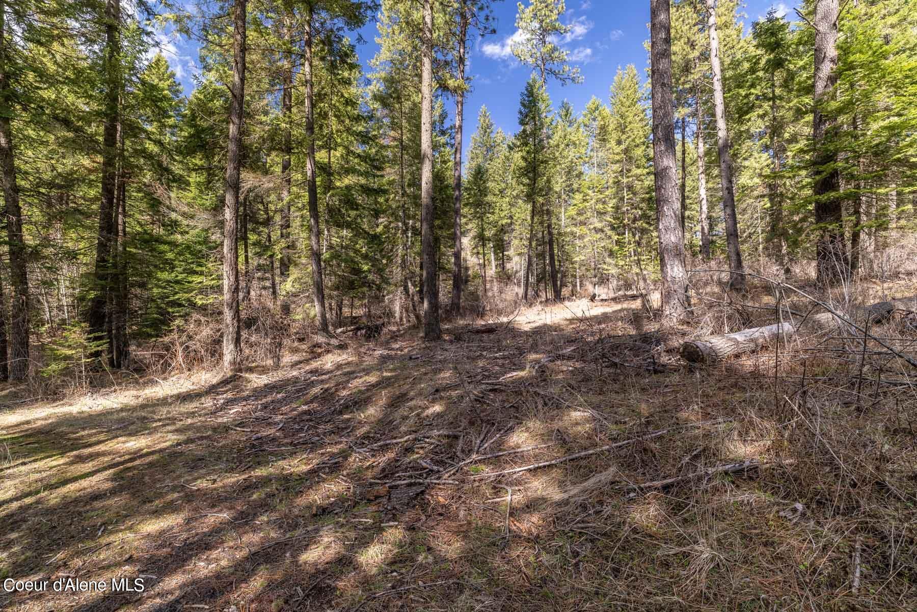 NNA S Doubletree Lane, Coeur d'Alene, Texas image 25
