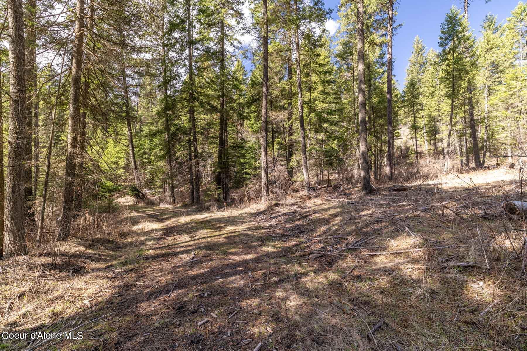 NNA S Doubletree Lane, Coeur d'Alene, Texas image 29