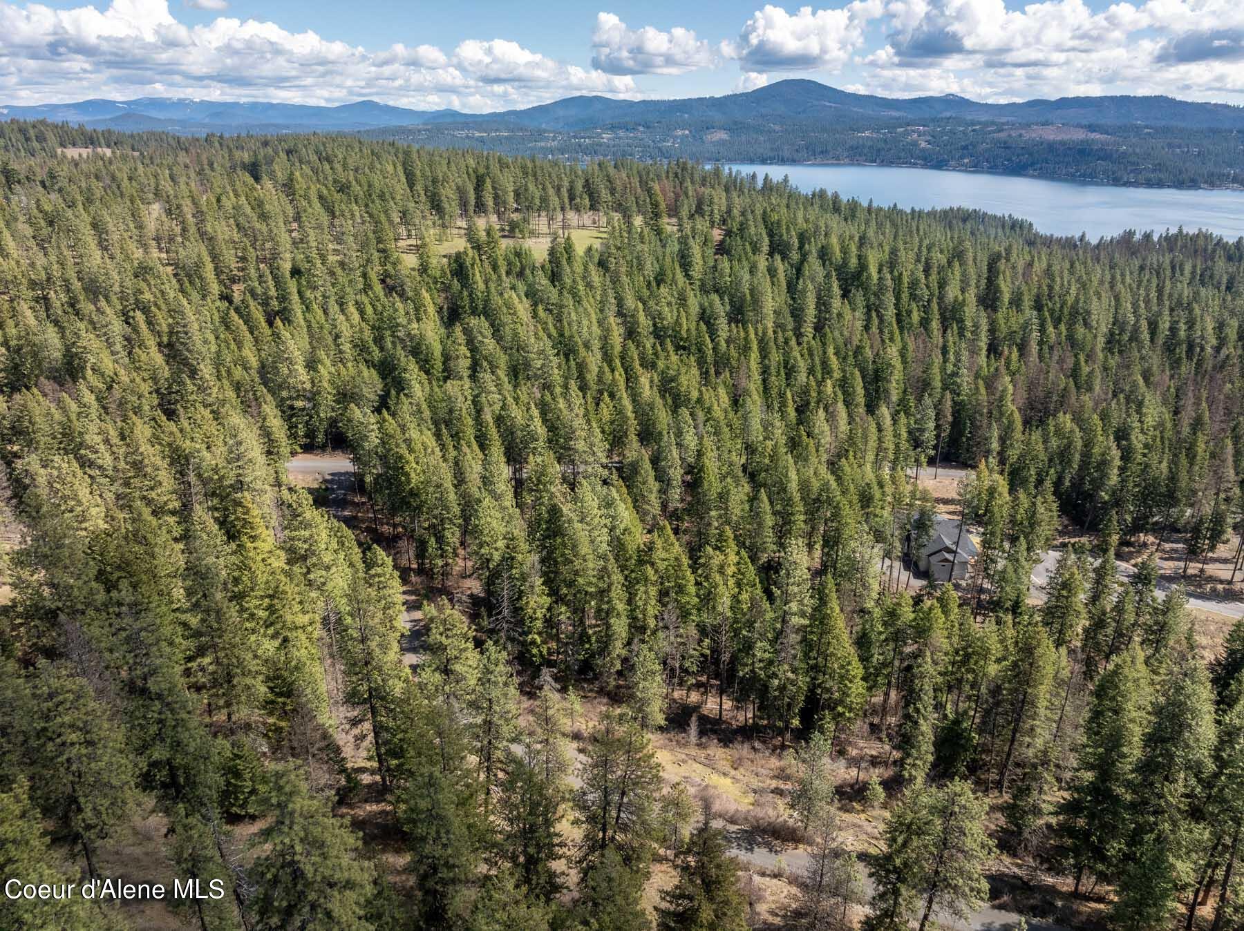 NNA S Doubletree Lane, Coeur d'Alene, Texas image 17