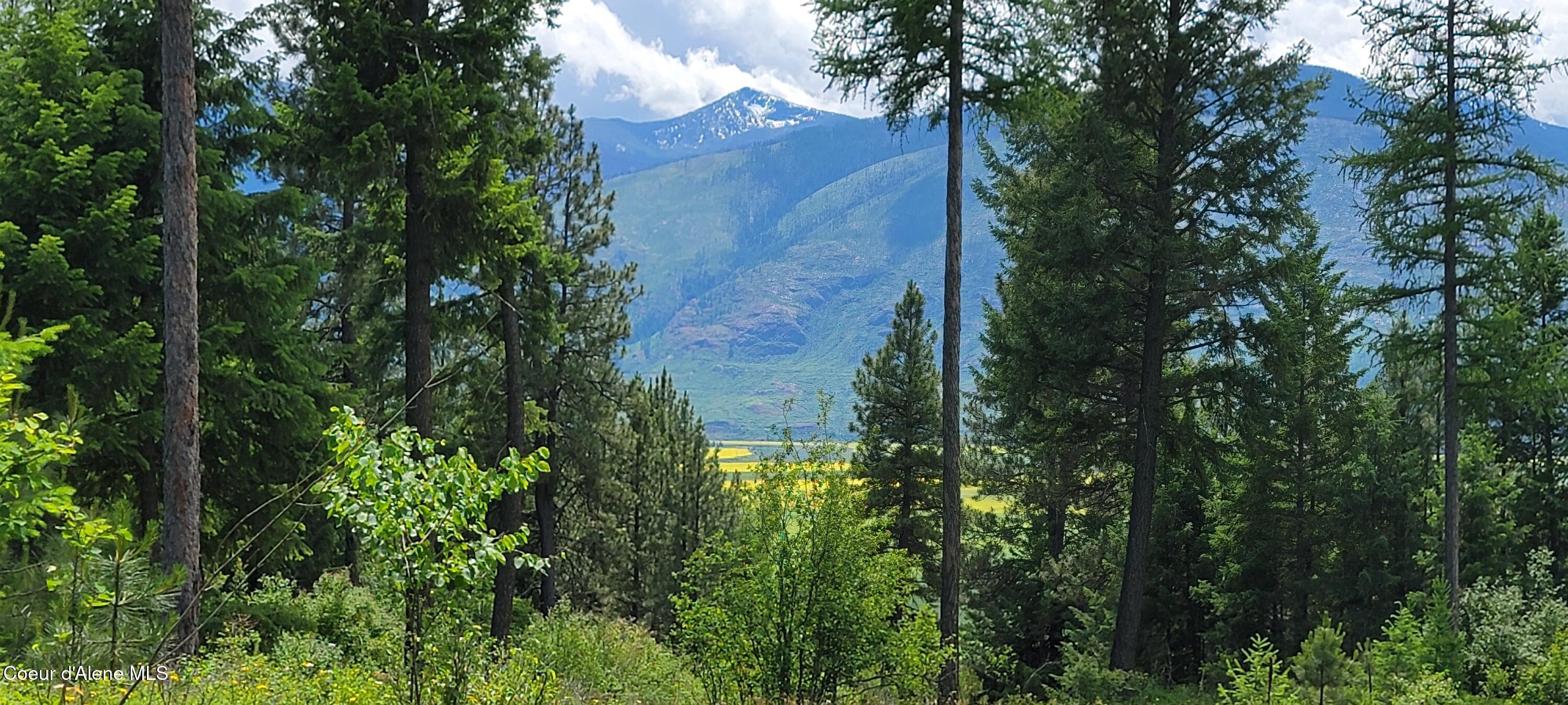 NNA Continental Lane-parcel 4 Trail, Bonners Ferry, Idaho image 13
