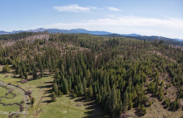 ADDRESS PRIVATE, ELK RIVER, ID 83827 - Image d8a3a91aeedbffd72819c6fa896e7c88/1963288787