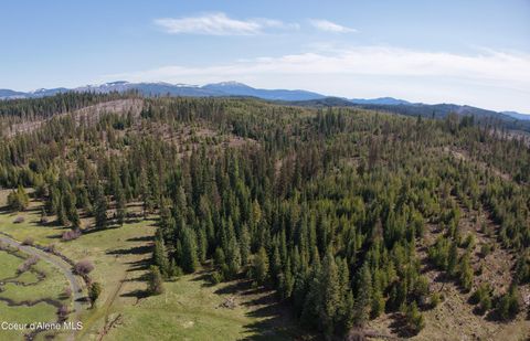 Vacant Land For Sale - NKA Park Road 100 Acres<br/> Elk River, ID 83827