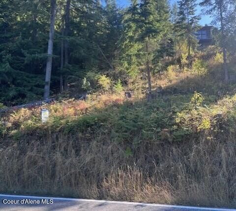 Vacant Land For Sale - NNA Hwy 97<br/> Harrison, ID 83833