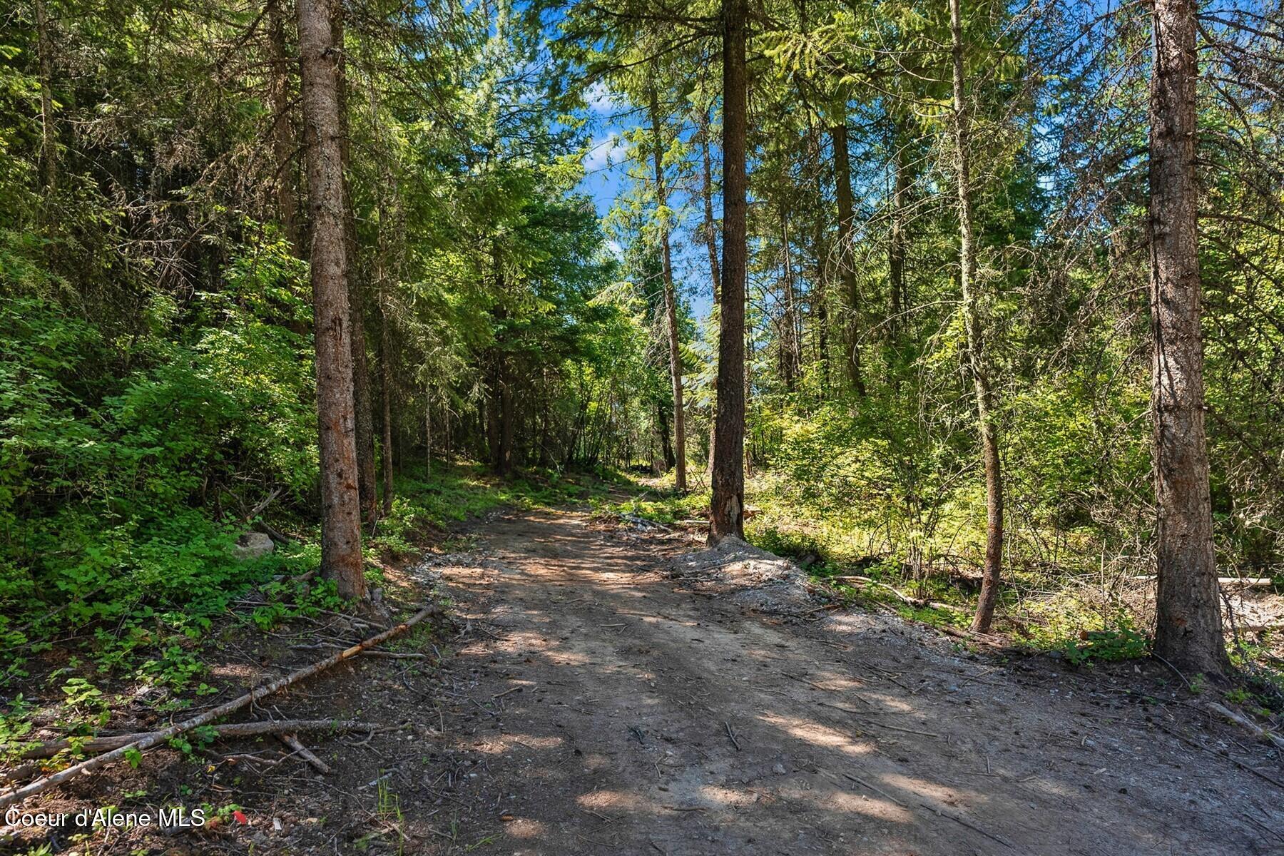 662 Homestead Hollow, Careywood, Idaho image 10