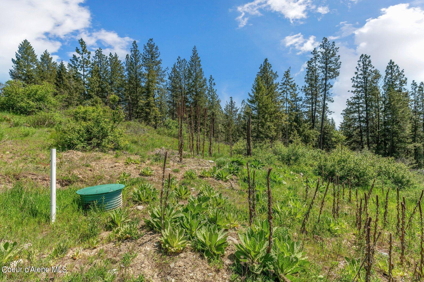 NNA Farm To Market Road, Bonners Ferry, Idaho image 39