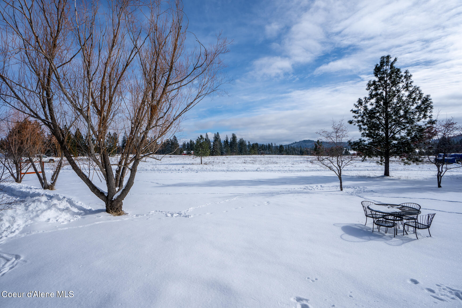 30143 S Chester Dr, Harrison, Idaho image 32