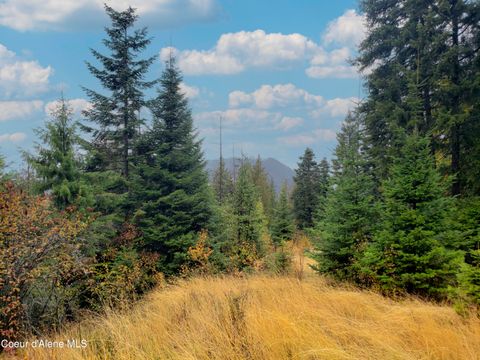Vacant Land For Sale - NKA White Cloud<br/> Sandpoint, ID 83864
