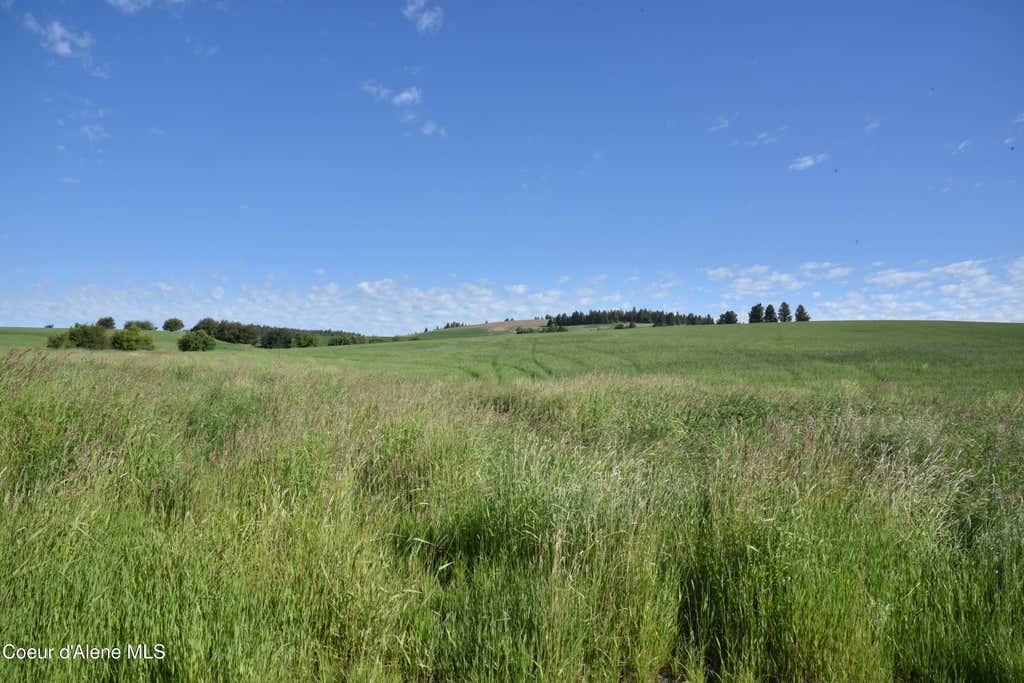 Photo of NNA 2 Sanders, Tensed, ID 83870 (MLS # 26-7351)