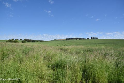 Vacant Land For Sale - NNA 2 Sanders<br/> Benewah County, Tensed, ID 83870