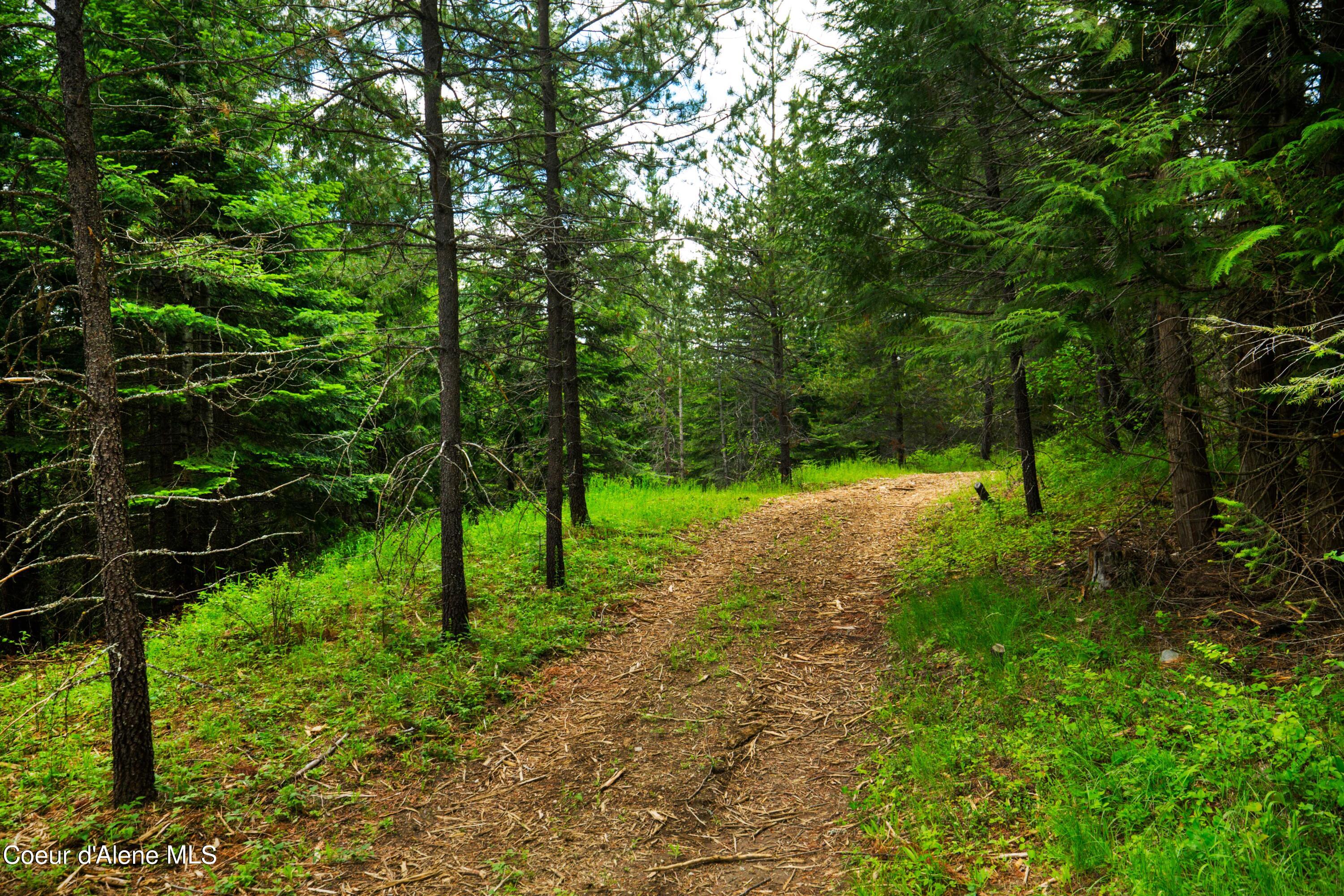 TBD Kreiger Creek  South Parcel Rd., Careywood, Idaho image 11