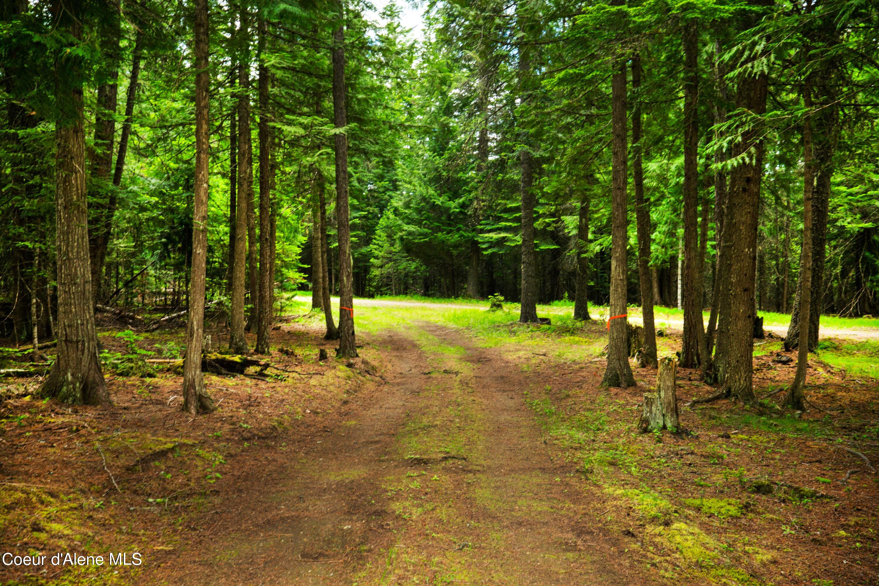 TBD Kreiger Creek  South Parcel Rd., Careywood, Idaho image 1