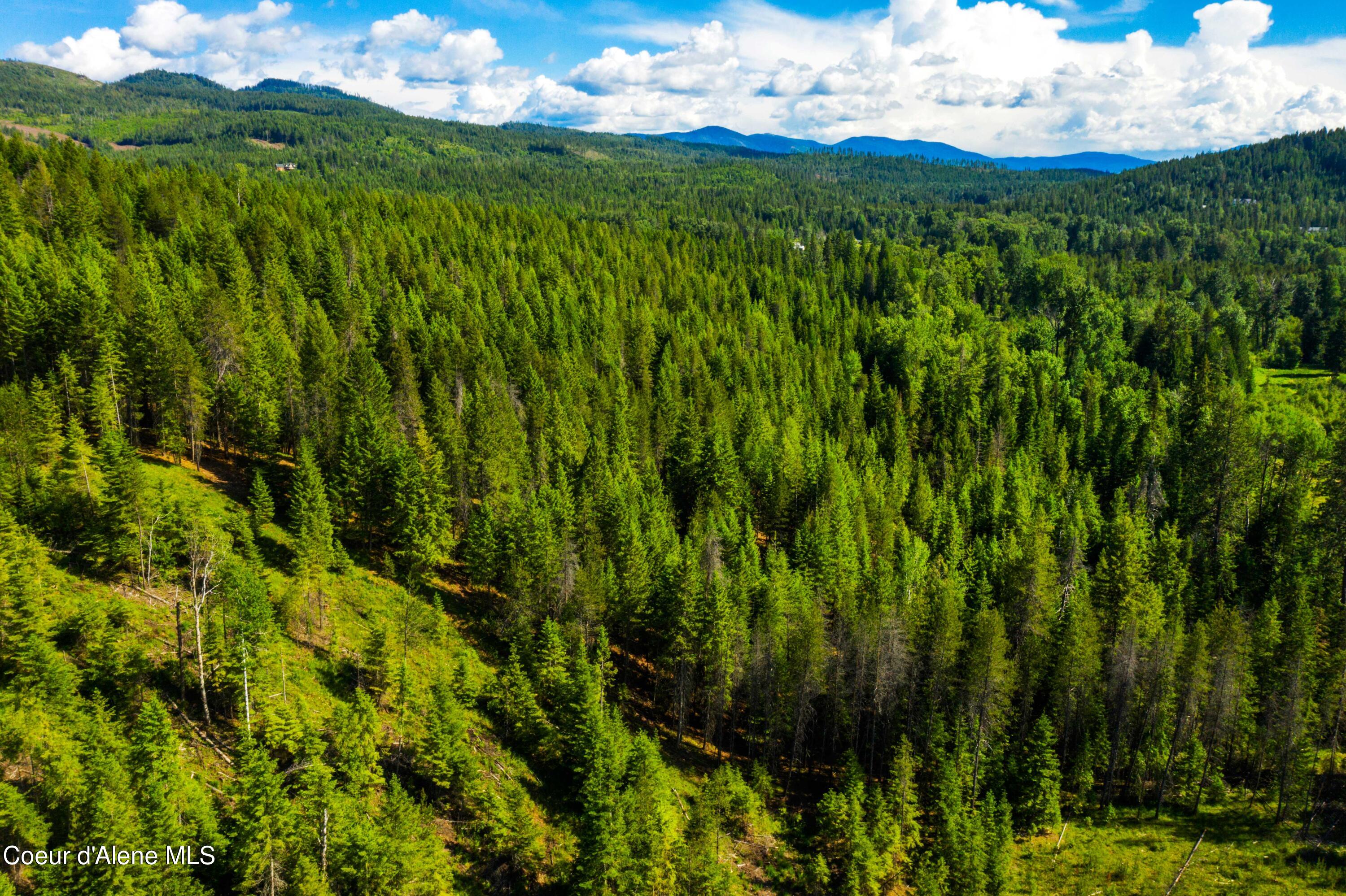 TBD Kreiger Creek  South Parcel Rd., Careywood, Idaho image 13