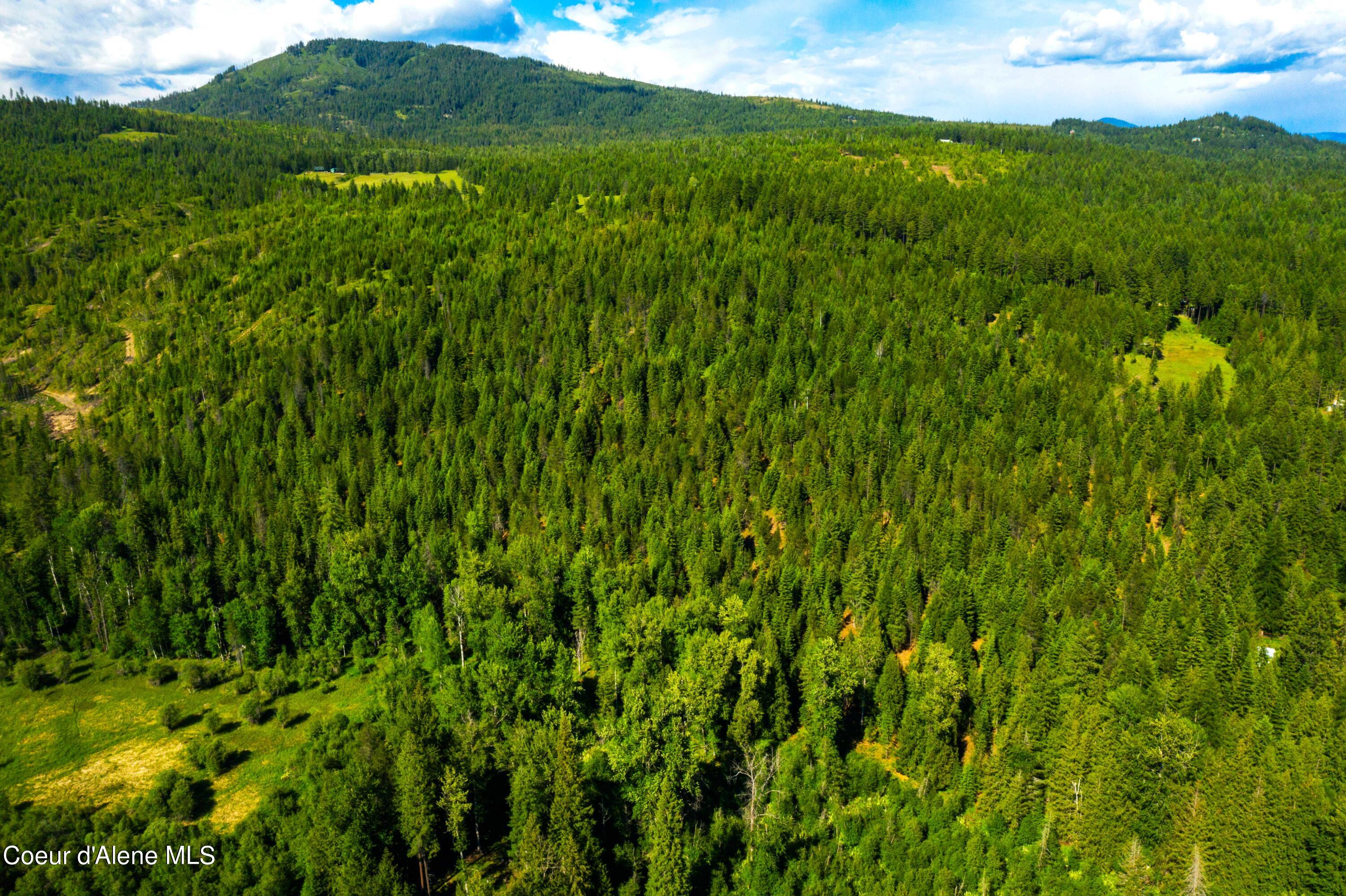 TBD Kreiger Creek  South Parcel Rd., Careywood, Idaho image 18