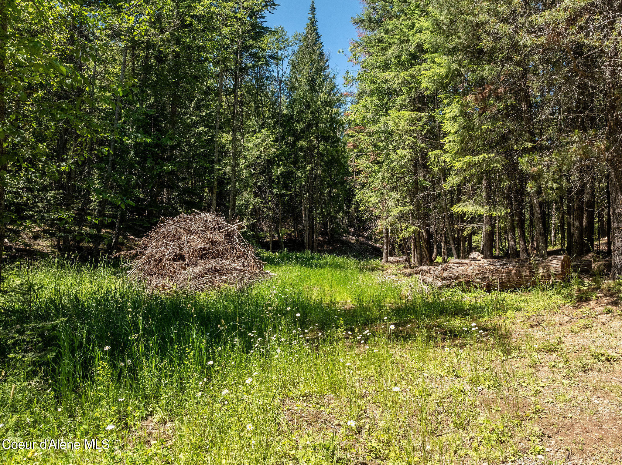 89 Lynx Run Road, Sagle, Idaho image 15