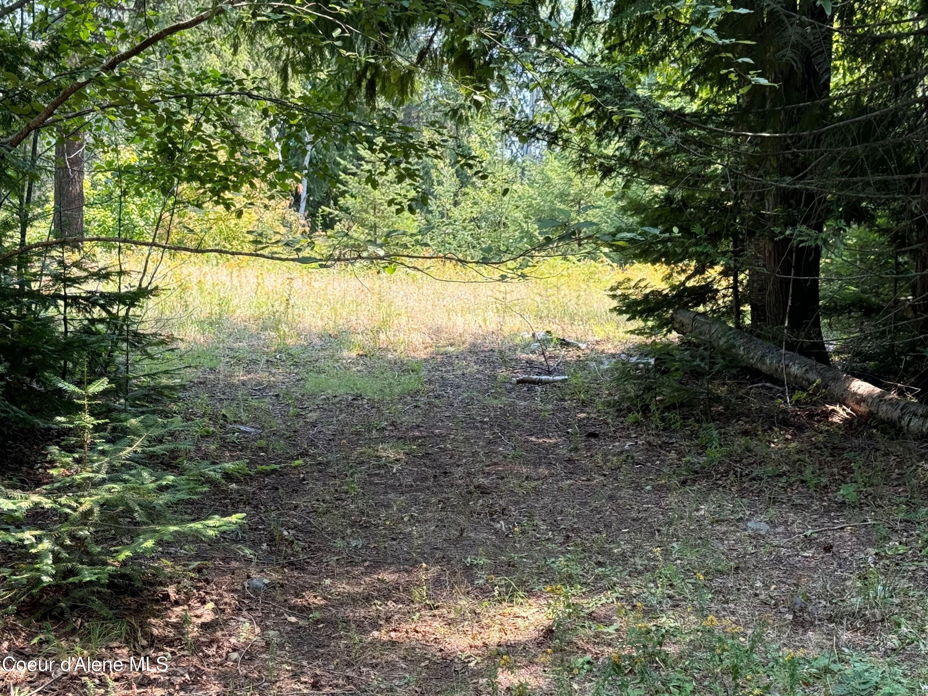 89 Lynx Run Road, Sagle, Idaho image 12