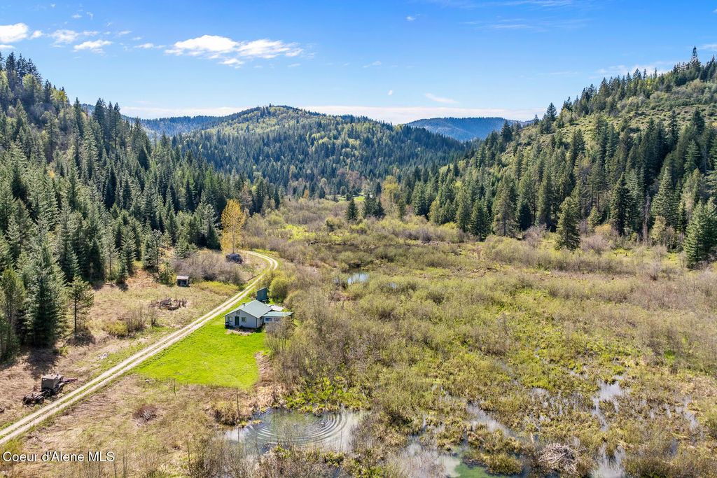 Photo of 1791 Pup Paw Trl #50 Acres, Priest River, ID 83856 (MLS # 26-4304)
