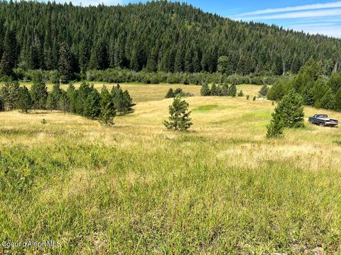 Vacant Land For Sale - NKA S. Fork Hangman Creek Creek<br/> Tensed, ID 83870