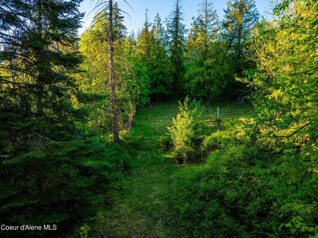 Photo of Lot F11 S Idaho Club Dr Dr, Sandpoint, ID 83864 (MLS # 26-4007)