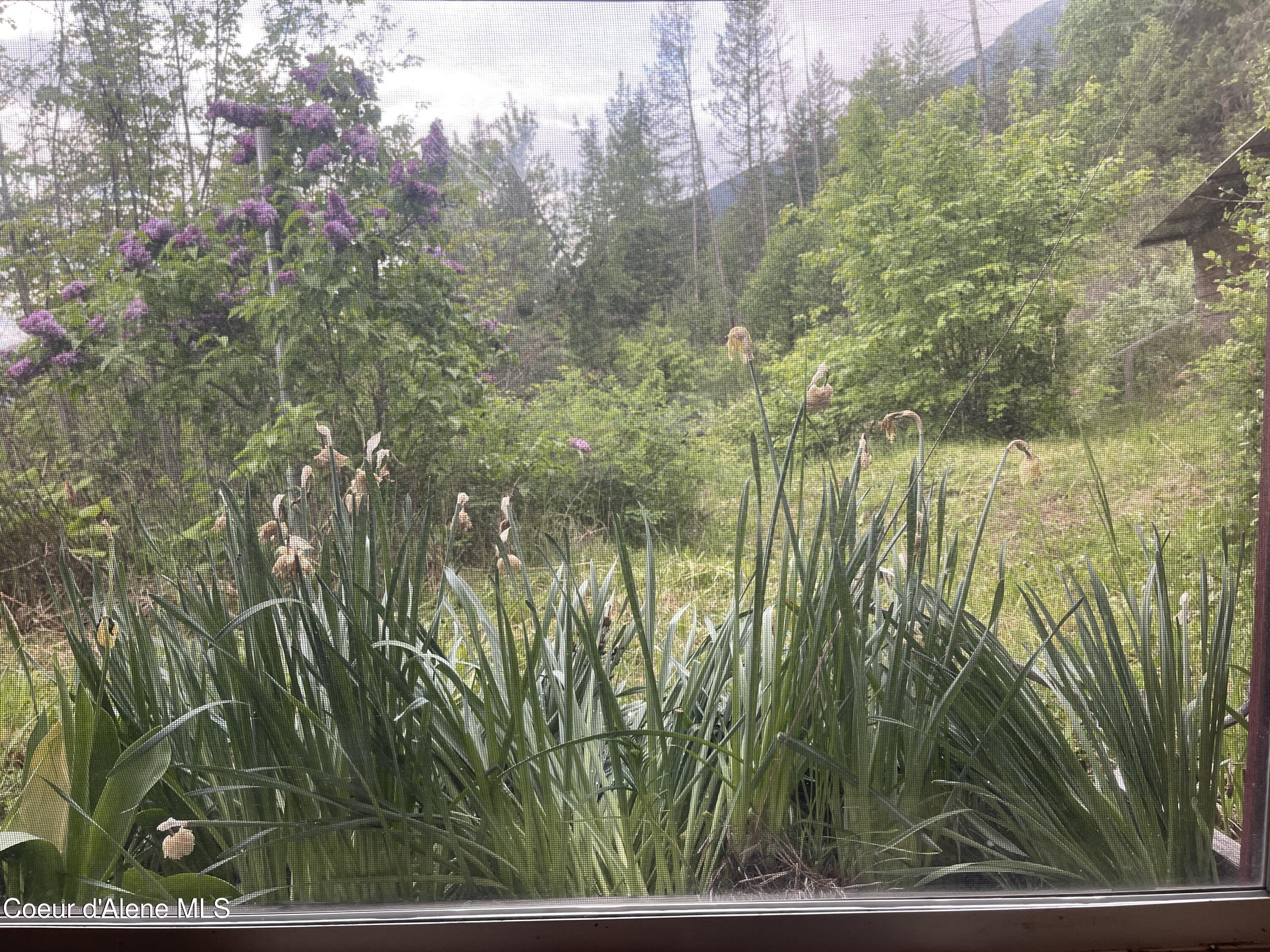 18432 Westside Rd, Bonners Ferry, Idaho image 25