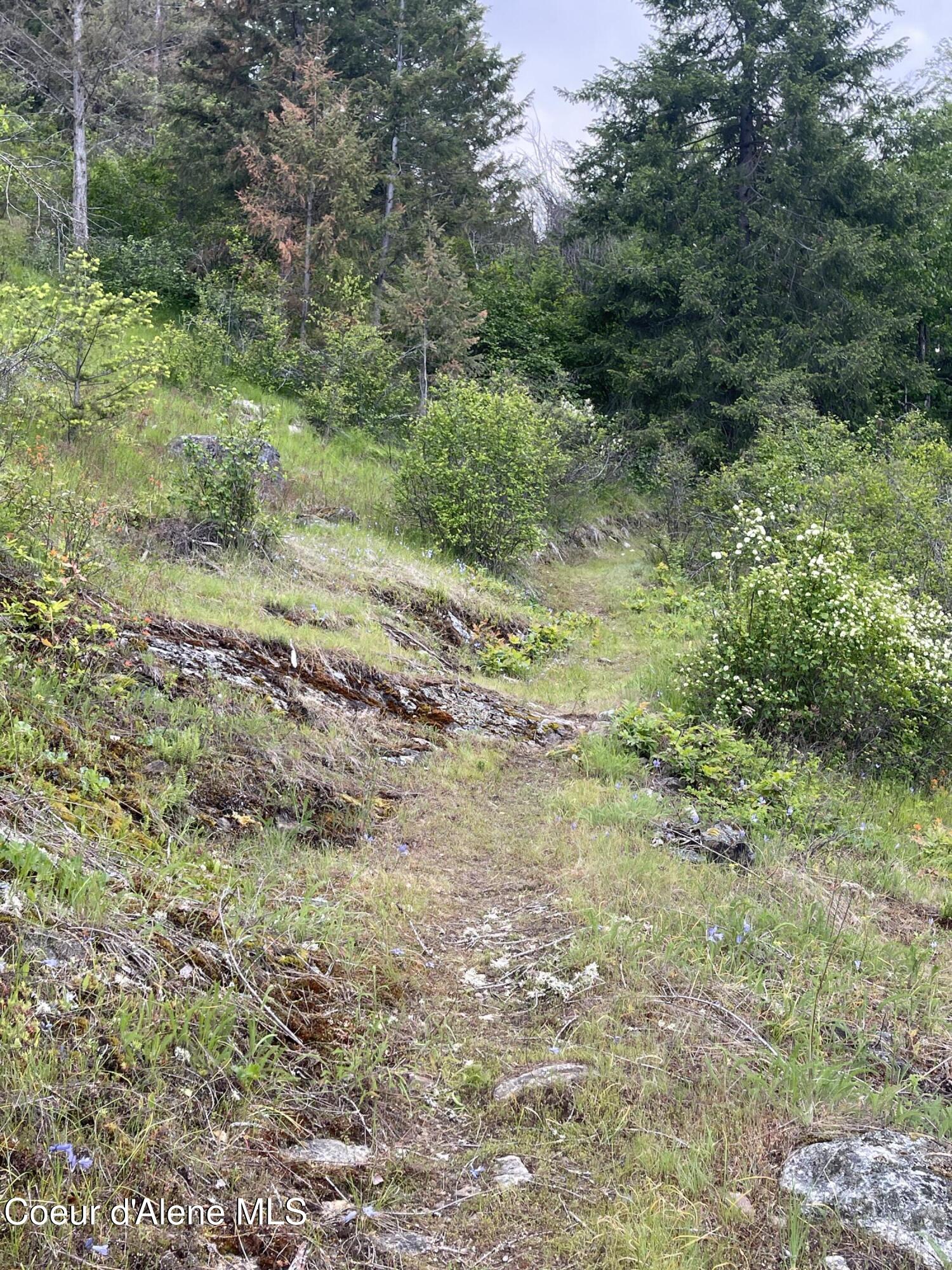18432 Westside Rd, Bonners Ferry, Idaho image 30