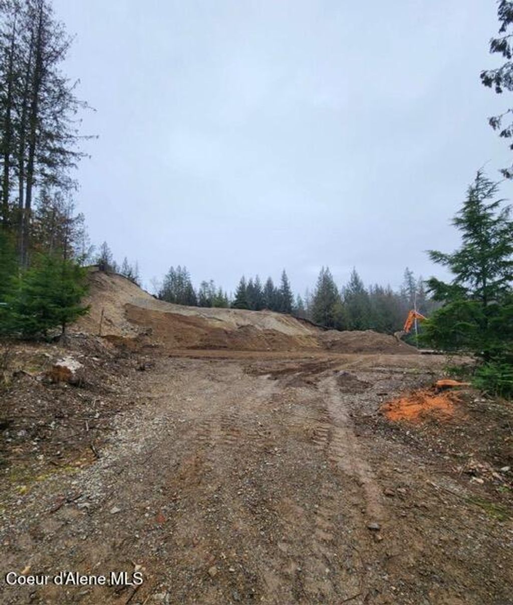 Photo of 99 Big Burl Rd, Sagle, ID 83860 (MLS # 26-2081)