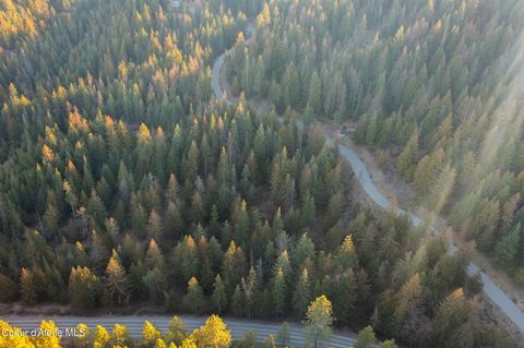 Vacant Land For Sale - NNA Sophie Hills Lot 2<br/> Harrison, ID 83833