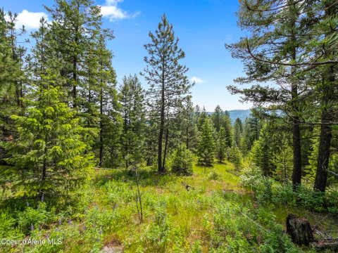 Vacant Land For Sale - 685 Blanchard Elk Rd<br/> Blanchard, ID 83804